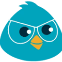 Visual Birds  Logo