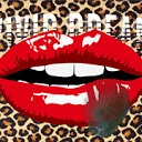 Vivid Dream Pro Logo