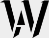 Vizualstorm logo