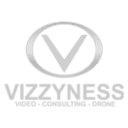 VIZZYNESS Logo