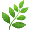 WANDERLND logo
