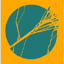Half Cut logo