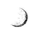 Wilde Moon Imagery Logo