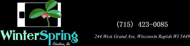 Winterspring Studios LLC Logo