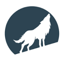 Wise Wolf Media Logo