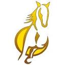 Yellow Pony Productions Logo