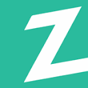 Zebra Vision logo