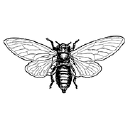 Acker Custom Marketing Logo