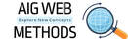 AIG Web Methods logo