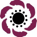 Anemone Graphics Logo