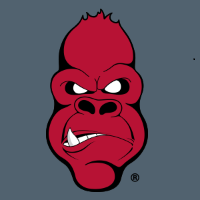 Angry Ape Creative Logo