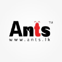 Ants Creation (Pvt) Ltd logo