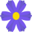Aster Codes Logo