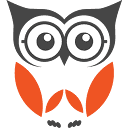 Be Wise LLC Logo