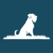 Bearded Dog Design logo