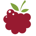 Berry Interesting Productions, Inc logo