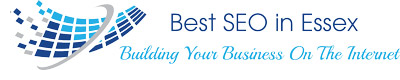 Best SEO in Essex logo