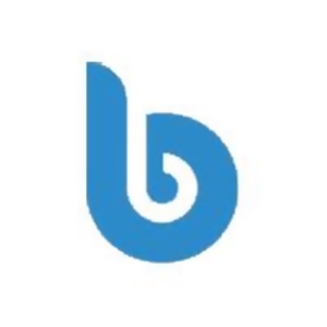 BH Web Design Logo