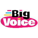 Big Voice Ltd logo
