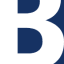 Big Blue Web Development Logo