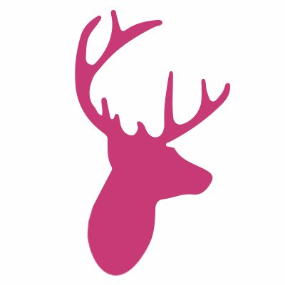 Big Eye Deers Website Design Logo