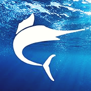 Big Marlin Group logo