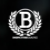 BigPicture Graphx LLC Logo