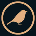 Birdie Digital Marketing Agency logo