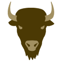 Bison Design Group logo