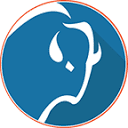 BisonTech Consulting logo