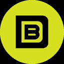 Bissell Design Studios Inc. logo