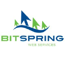 Bit Spring - Web Services Logo