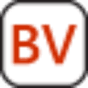 bITvision Technology Group Logo