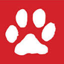 Black Dog Design logo