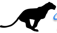Black Cat Web Designs Logo