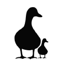 Black Duck Media logo