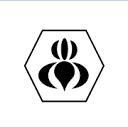 Black Iris Branding Logo