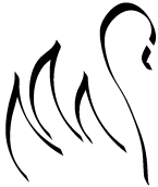 Black Swan IT Logo