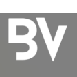 Blink Venture LLC Logo