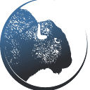 Blue Bison Web logo