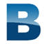 Bluestream Web Inc. Logo