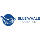 Blue Whale Analytics Logo