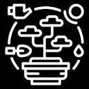 Bonsai Digital Ltd logo