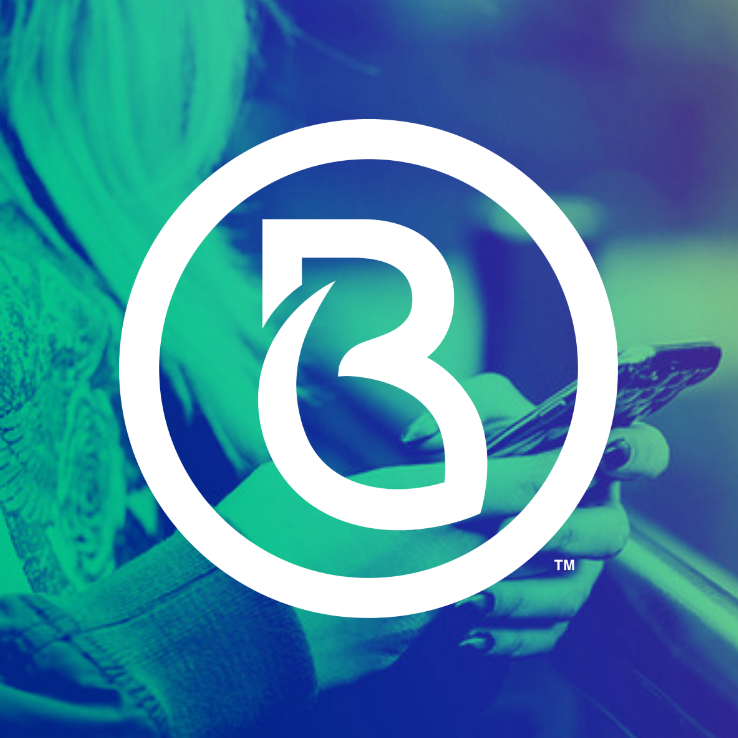 Brandmint Digital Marketing Logo