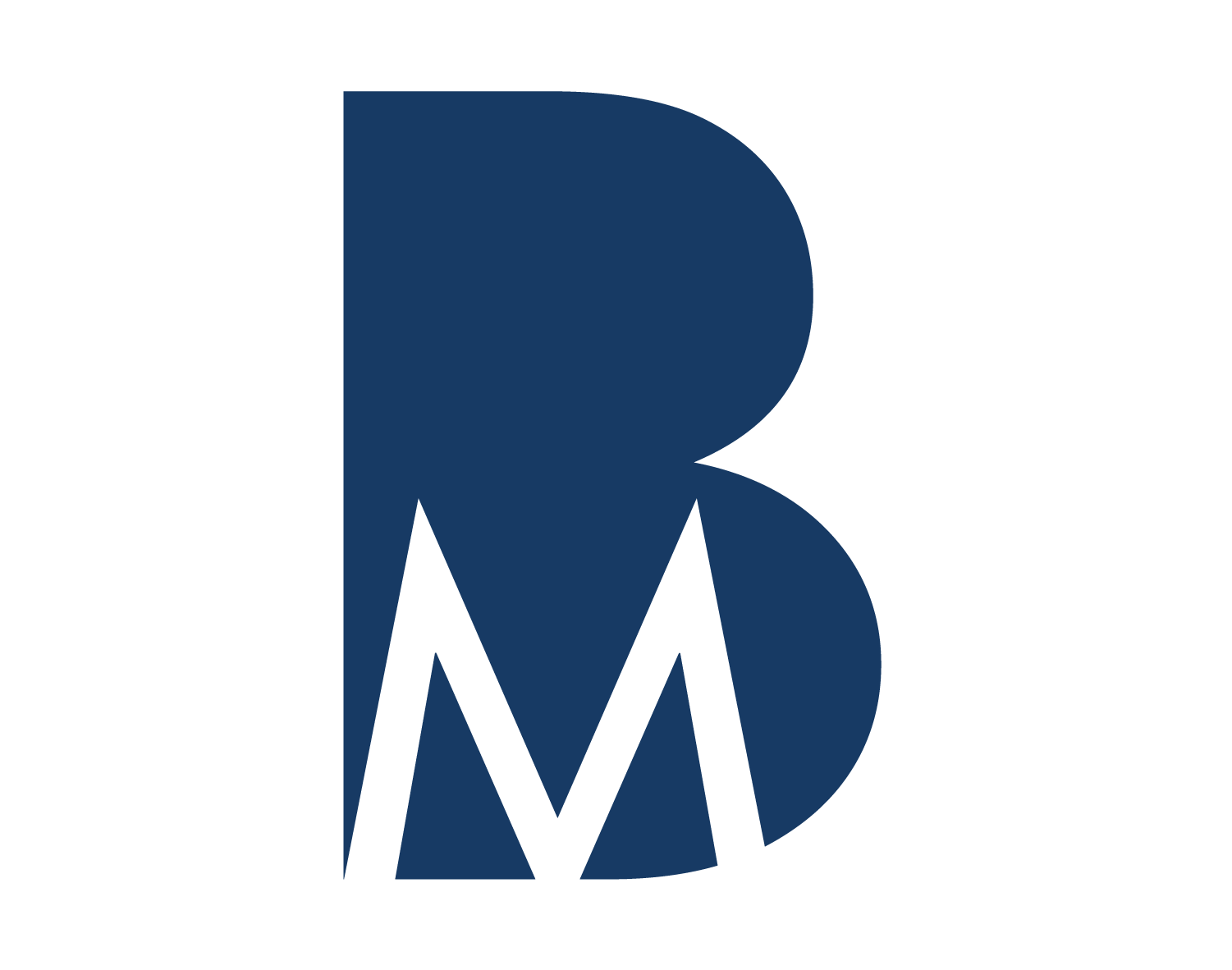 Brendan Morrison Design Logo