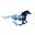 Brittany Dawn Design Logo