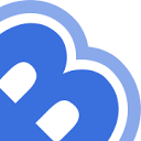 Bronco Logo