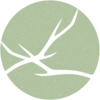 Bucked Creative Logo