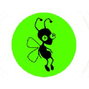 Terry Bug Lilly Logo