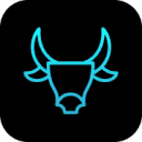 Bull City Web Design Logo